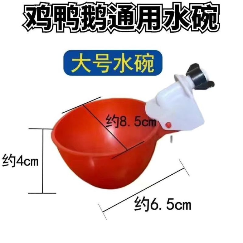 鸡鸭鹅用饮水碗鸽子自动饮水器鹌鹑饮水碗小鸡雏鸡喝水碗鸡饮