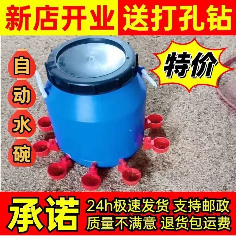 鸡鸭鹅用饮水碗鸽子自动饮水器鹌鹑饮水碗小鸡雏鸡喝水碗鸡饮