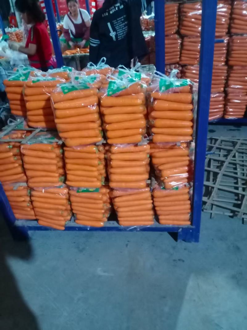 三红胡萝卜精品胡萝卜产地大量供应（3～7两）