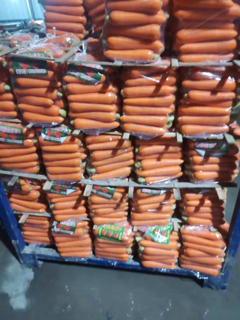 三红胡萝卜精品胡萝卜产地大量供应（3～7两）