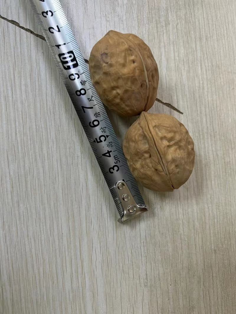 新疆薄皮核桃大中小果展销会地摊批发热卖产品