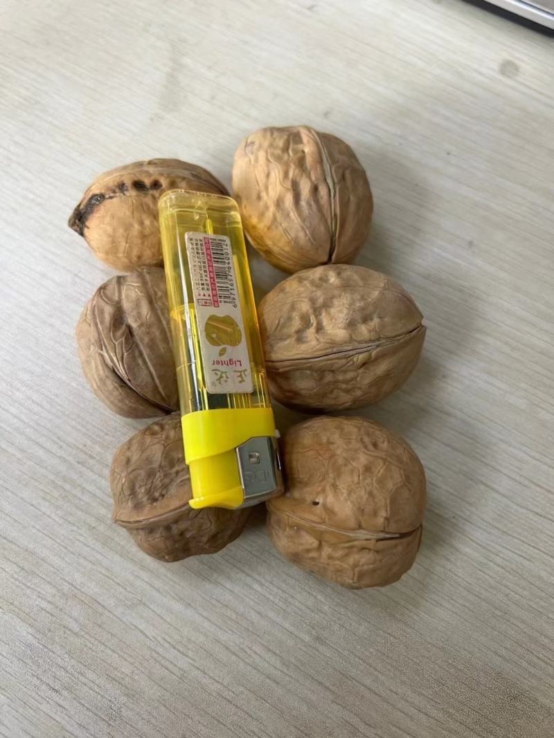 新疆薄皮核桃大中小果展销会地摊批发热卖产品
