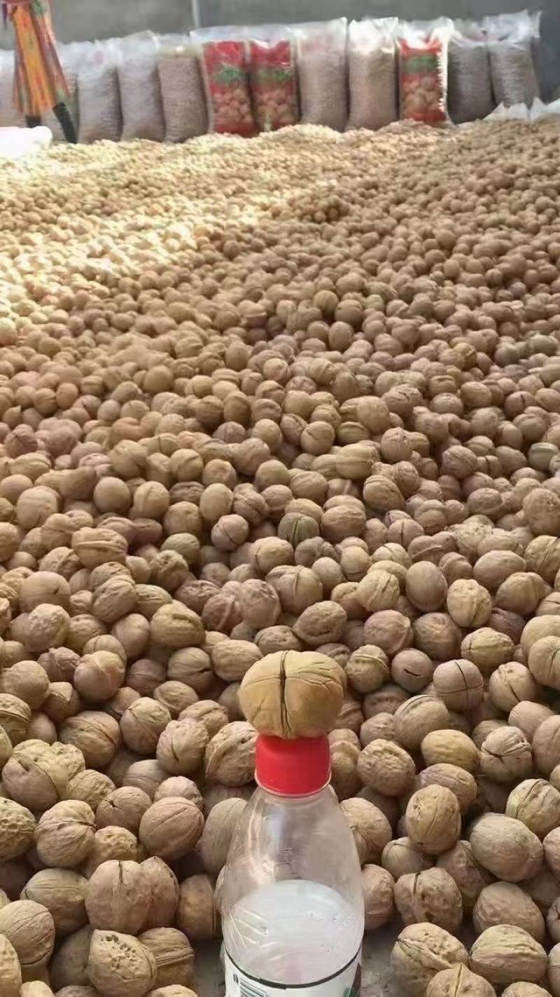 新疆薄皮核桃大中小果展销会地摊批发热卖产品