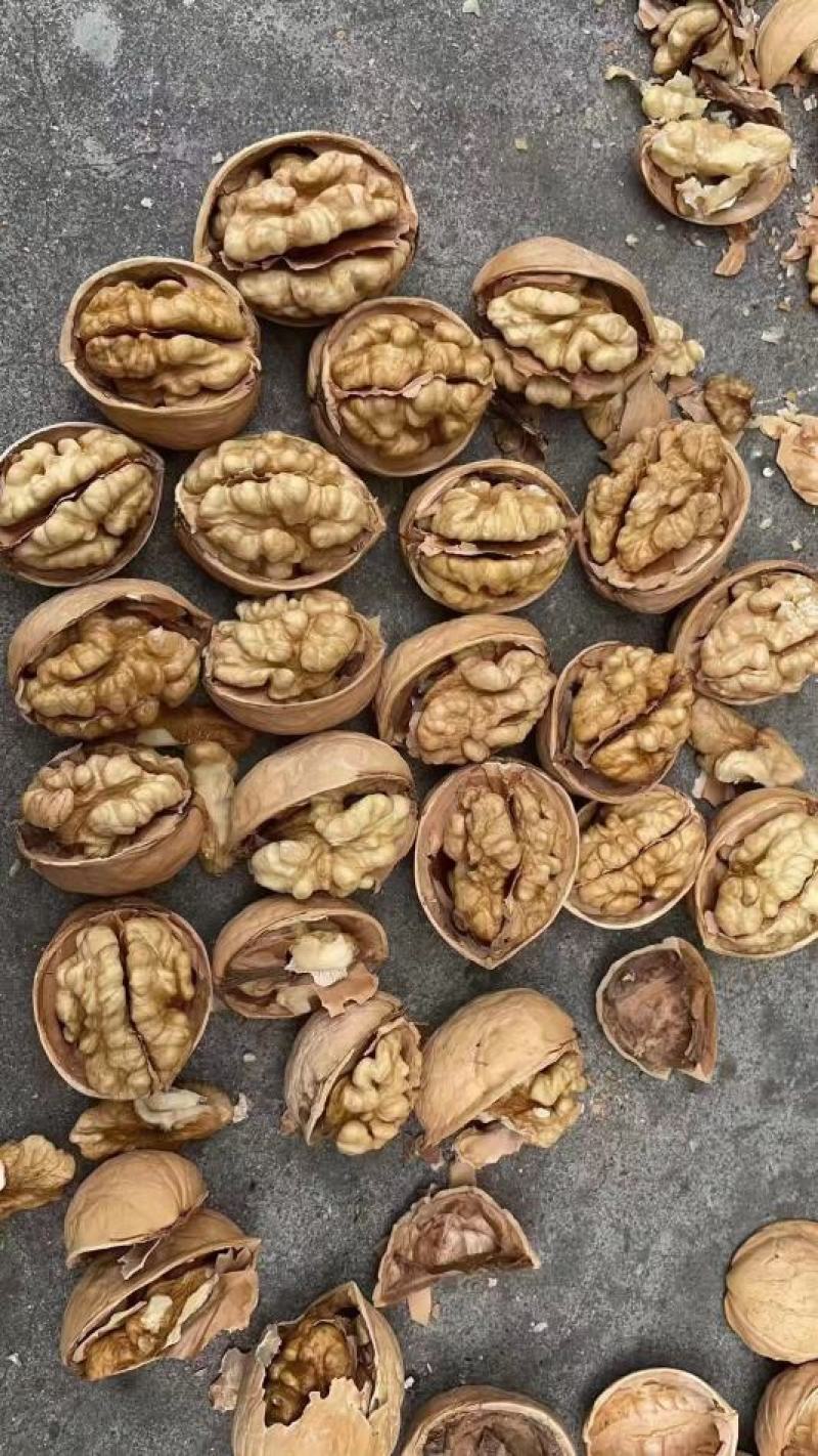 新疆薄皮核桃大中小果展销会地摊批发热卖产品
