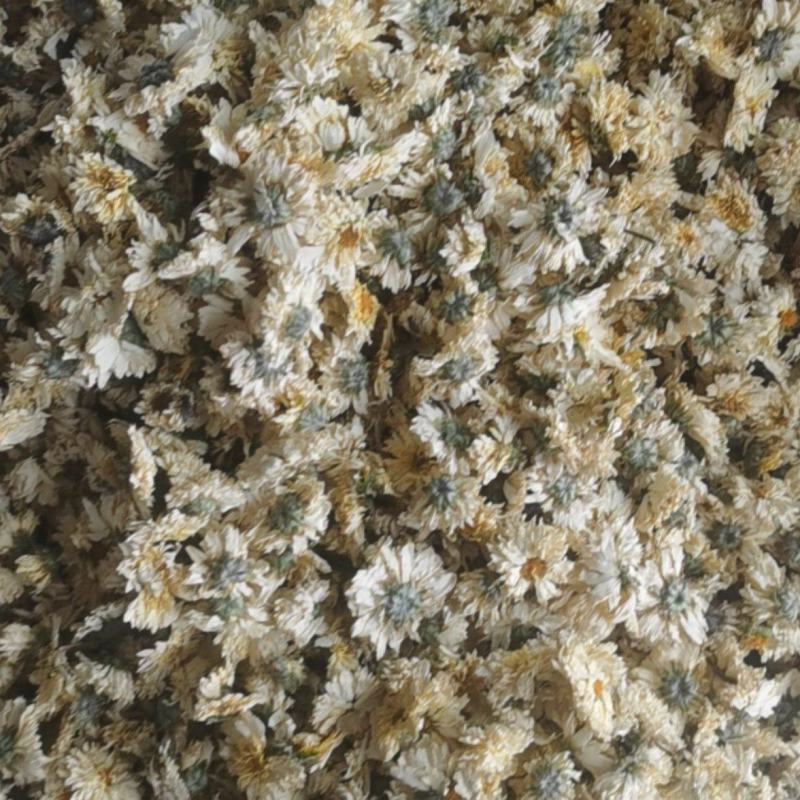 菊花统装500g产地山东振兴药材购销站量大从优
