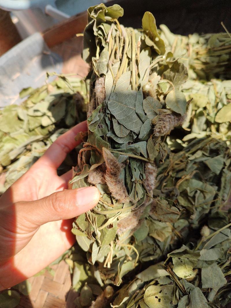 深山狸尾草羊咩香自然晾晒干货煲水煲汤养生中草药