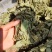 深山狸尾草羊咩香自然晾晒干货煲水煲汤养生中草药
