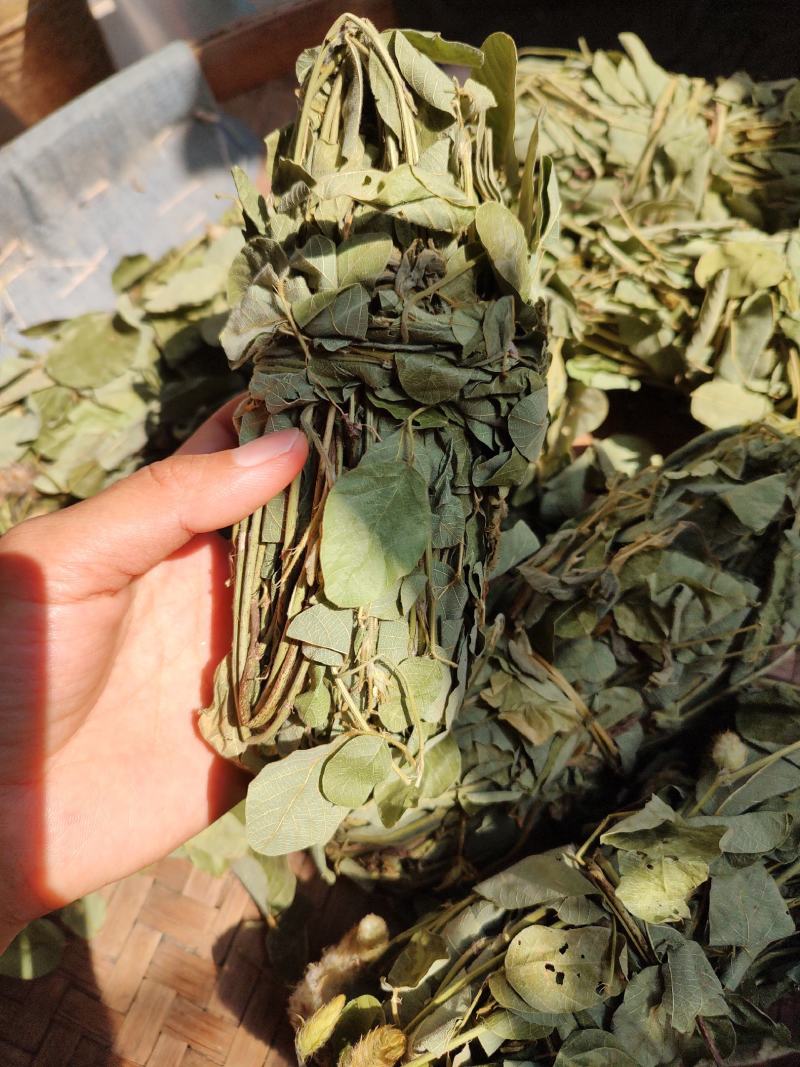 深山狸尾草羊咩香自然晾晒干货煲水煲汤养生中草药