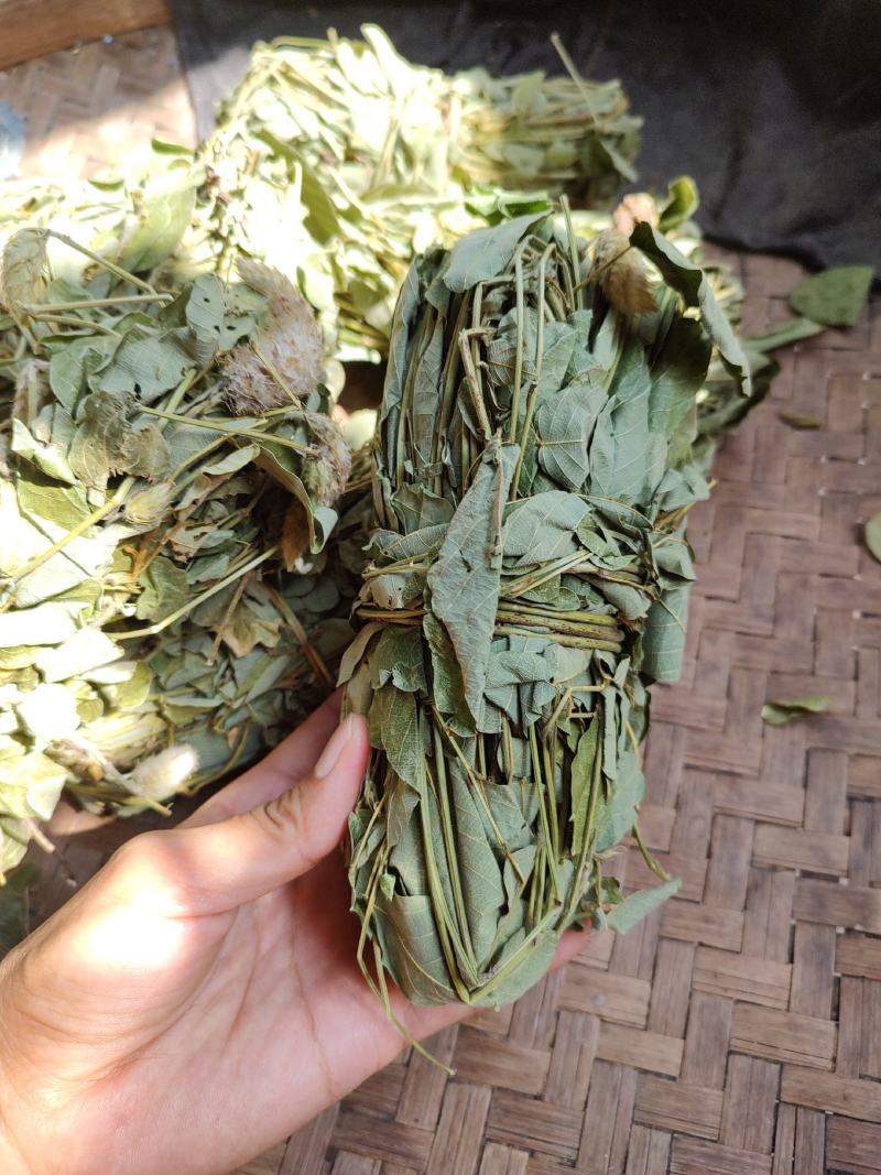 深山狸尾草羊咩香自然晾晒干货煲水煲汤养生中草药
