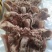 羊头肉跑地摊批发跑量产品成都库房大量现货