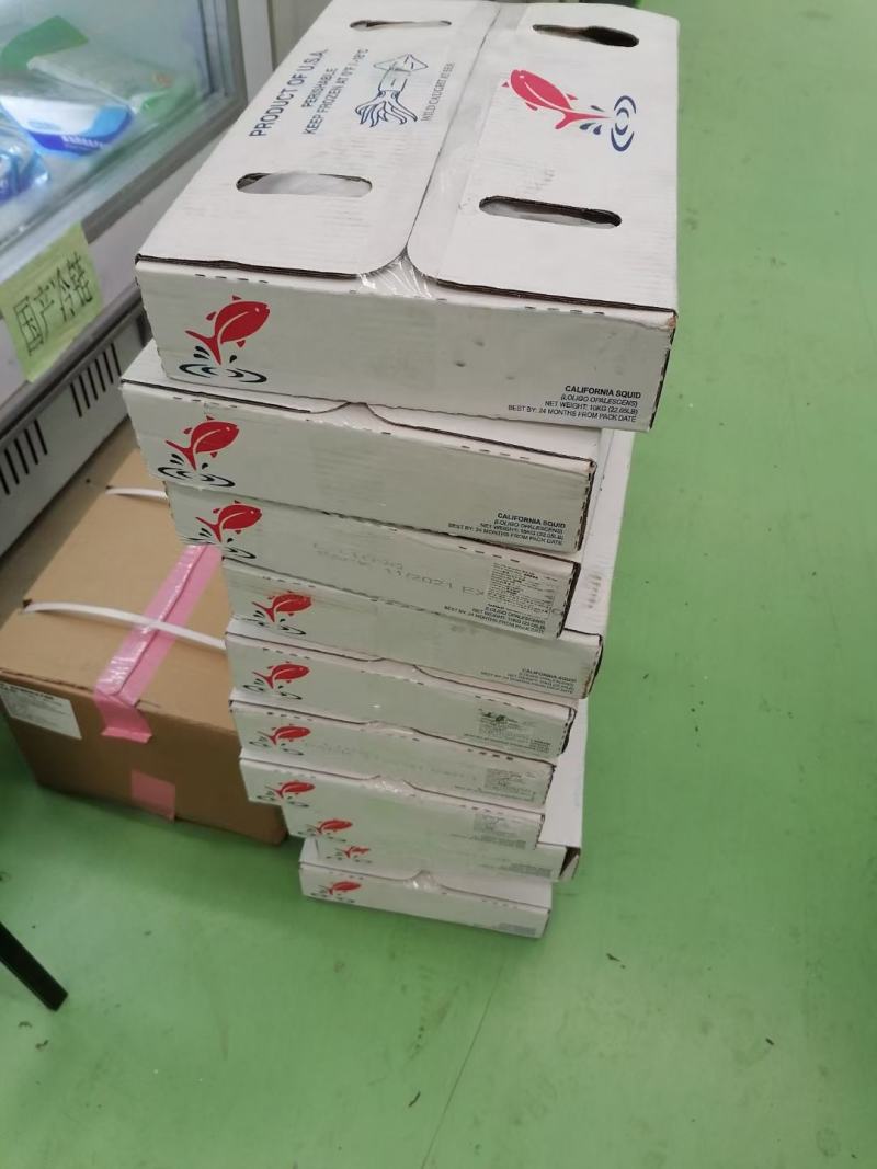 加州笔管/笔管鱼/加州鱿鱼