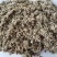 【全国发货】新鲜棉籽壳中壳中绒磨盘对辊棉壳食用菌蘑菇专用