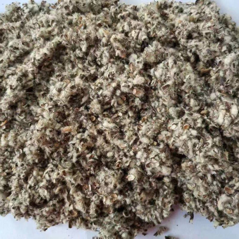 【全国发货】新鲜棉籽壳中壳中绒磨盘对辊棉壳食用菌蘑菇专用
