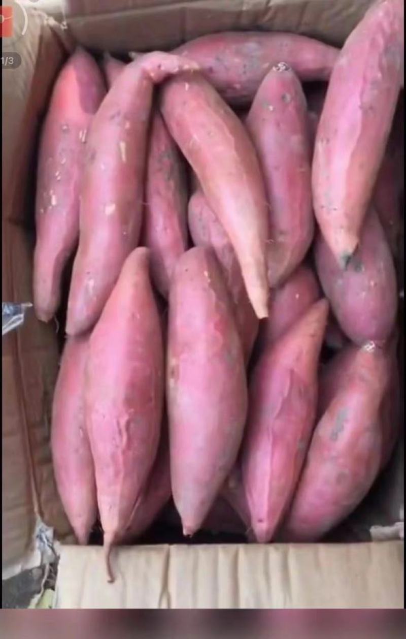 烟薯蜜薯，糖心软糯香甜，产地一手货源量大从优，电联下单