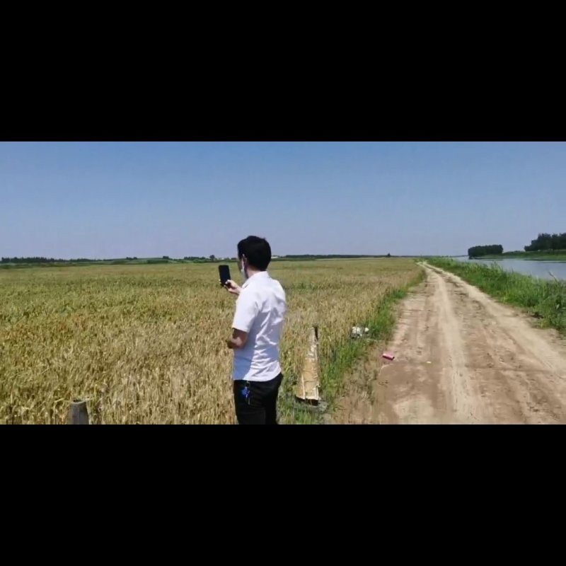 出租大量土地20万亩，租金400元每亩。