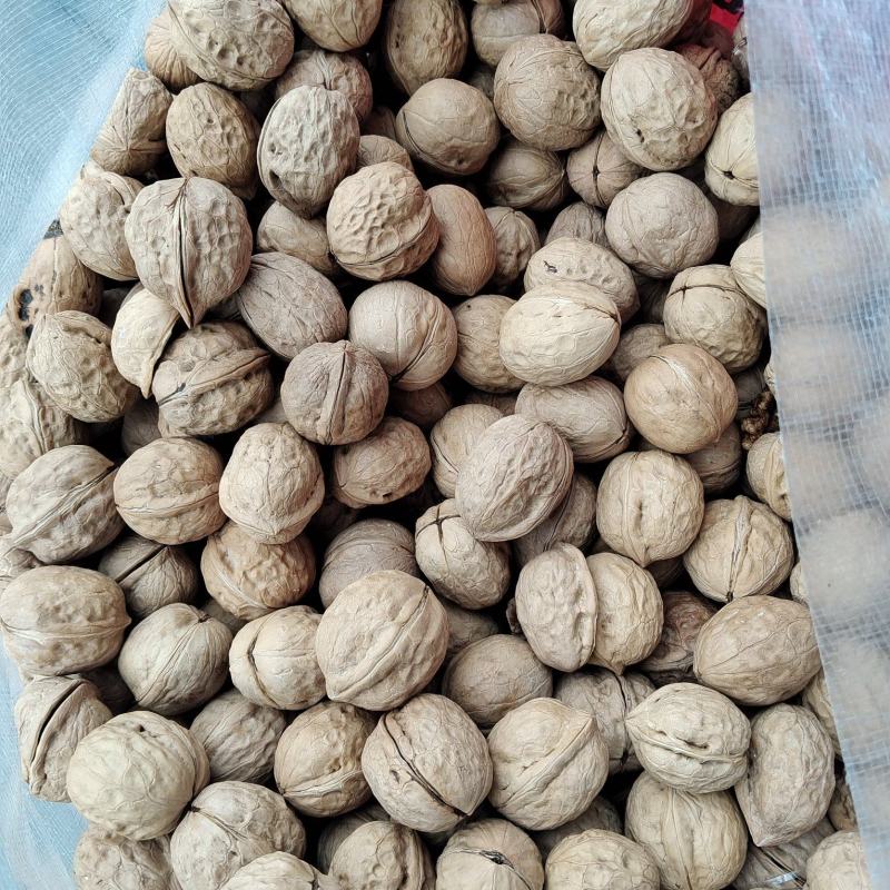 新疆薄皮核桃。开展销会摆地摊畅销产品全国发货。