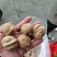 新疆薄皮核桃。开展销会摆地摊畅销产品全国发货。