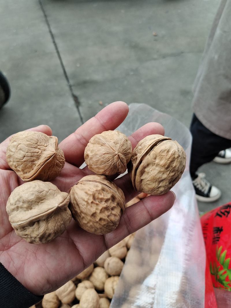 新疆薄皮核桃。开展销会摆地摊畅销产品全国发货。