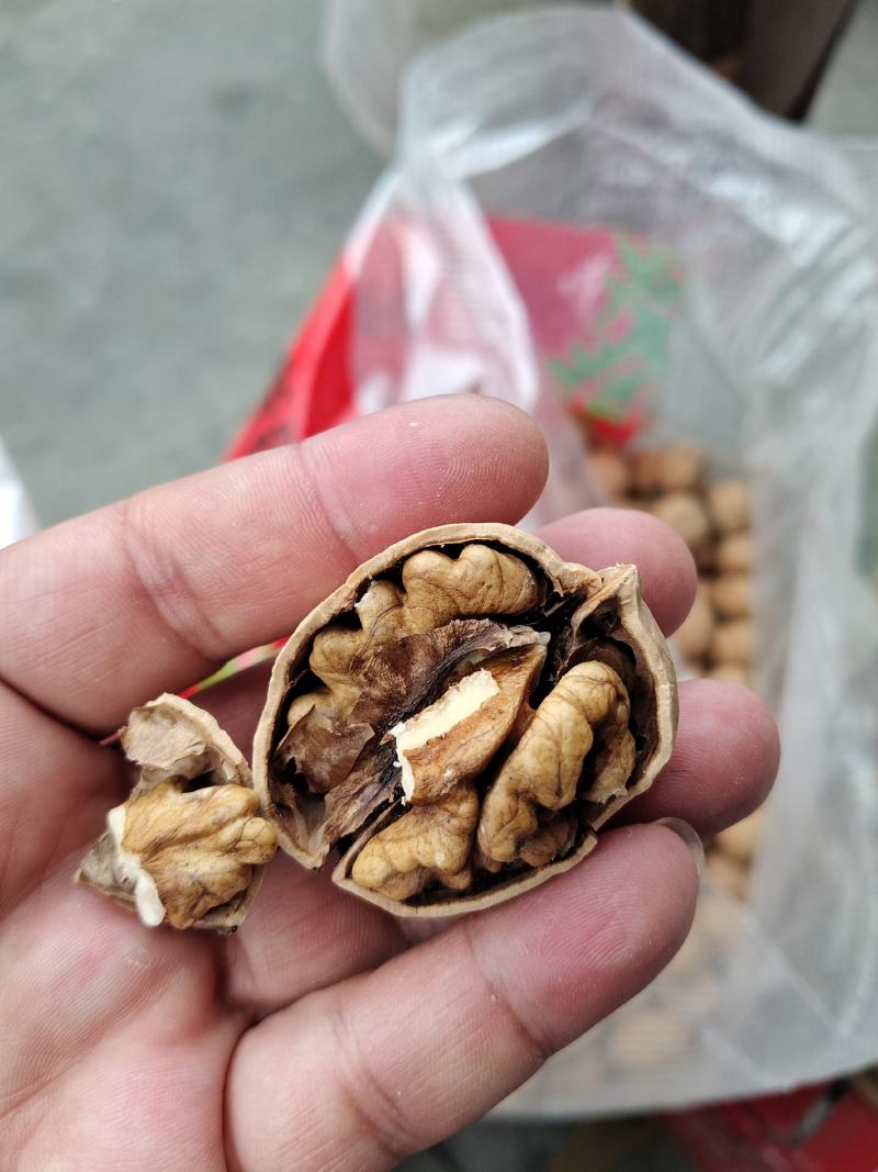 新疆薄皮核桃。开展销会摆地摊畅销产品全国发货。