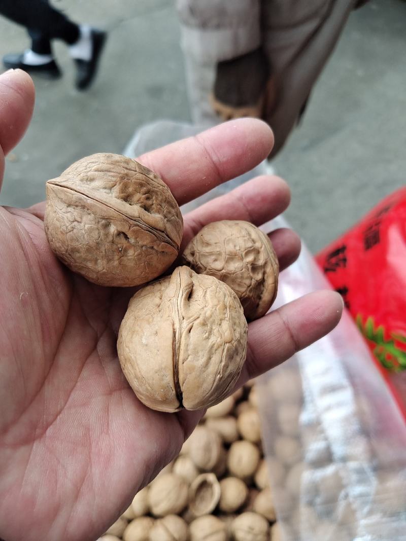 新疆薄皮核桃。开展销会摆地摊畅销产品全国发货。