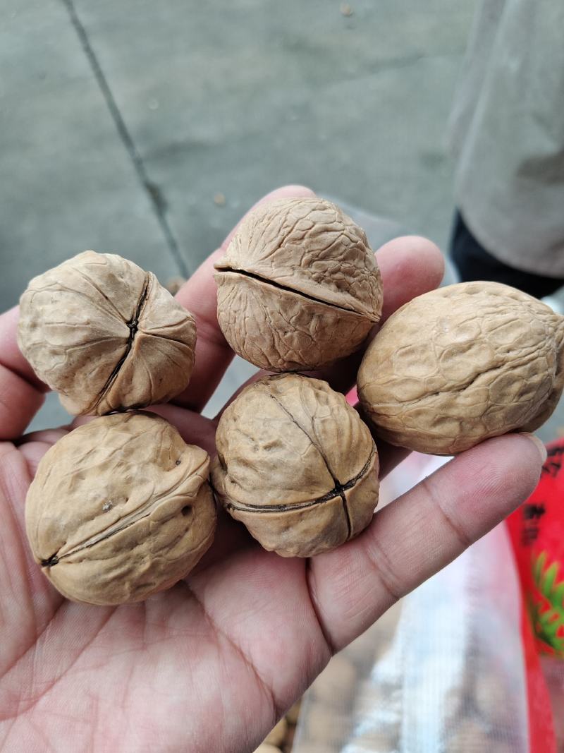 新疆薄皮核桃。开展销会摆地摊畅销产品全国发货。