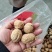 新疆薄皮核桃。开展销会摆地摊畅销产品全国发货。