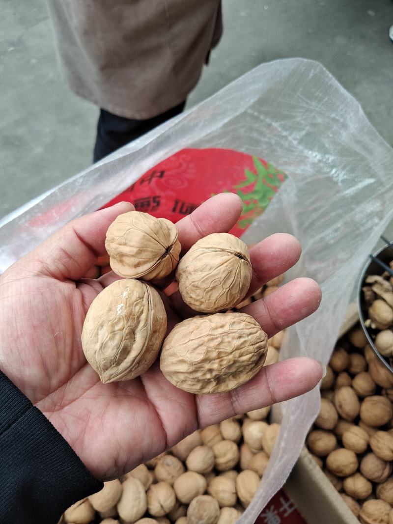 新疆薄皮核桃。开展销会摆地摊畅销产品全国发货。