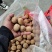 新疆薄皮核桃。开展销会摆地摊畅销产品全国发货。