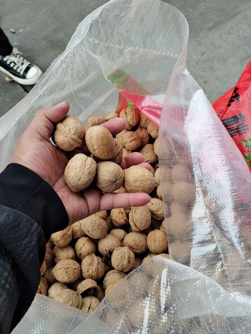 新疆薄皮核桃。开展销会摆地摊畅销产品全国发货。