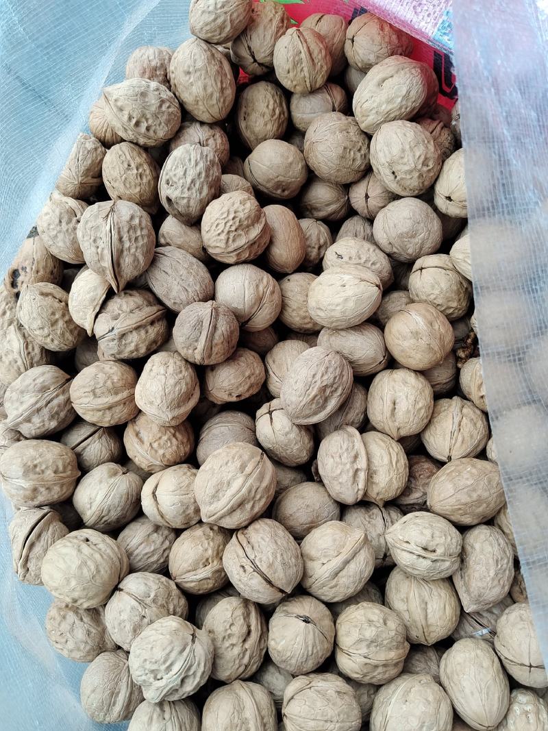 新疆薄皮核桃。开展销会摆地摊畅销产品全国发货。