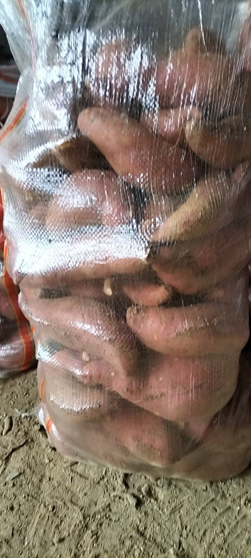 红薯西瓜红蜜薯邹城丘陵地产地直供