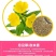 美丽月见草种子多年生四季开花易活阳台盆栽室外庭院花卉花种