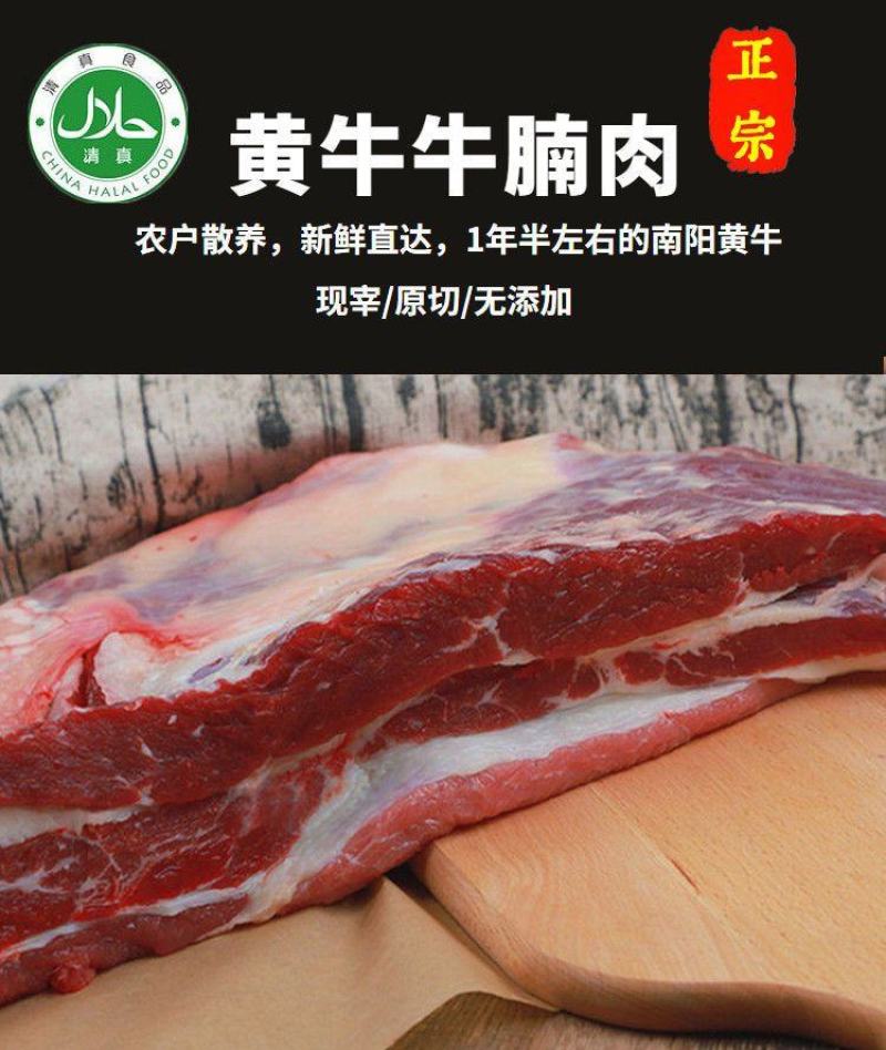 新鲜现切速冻牛腩肉5斤牛肉不调理包邮