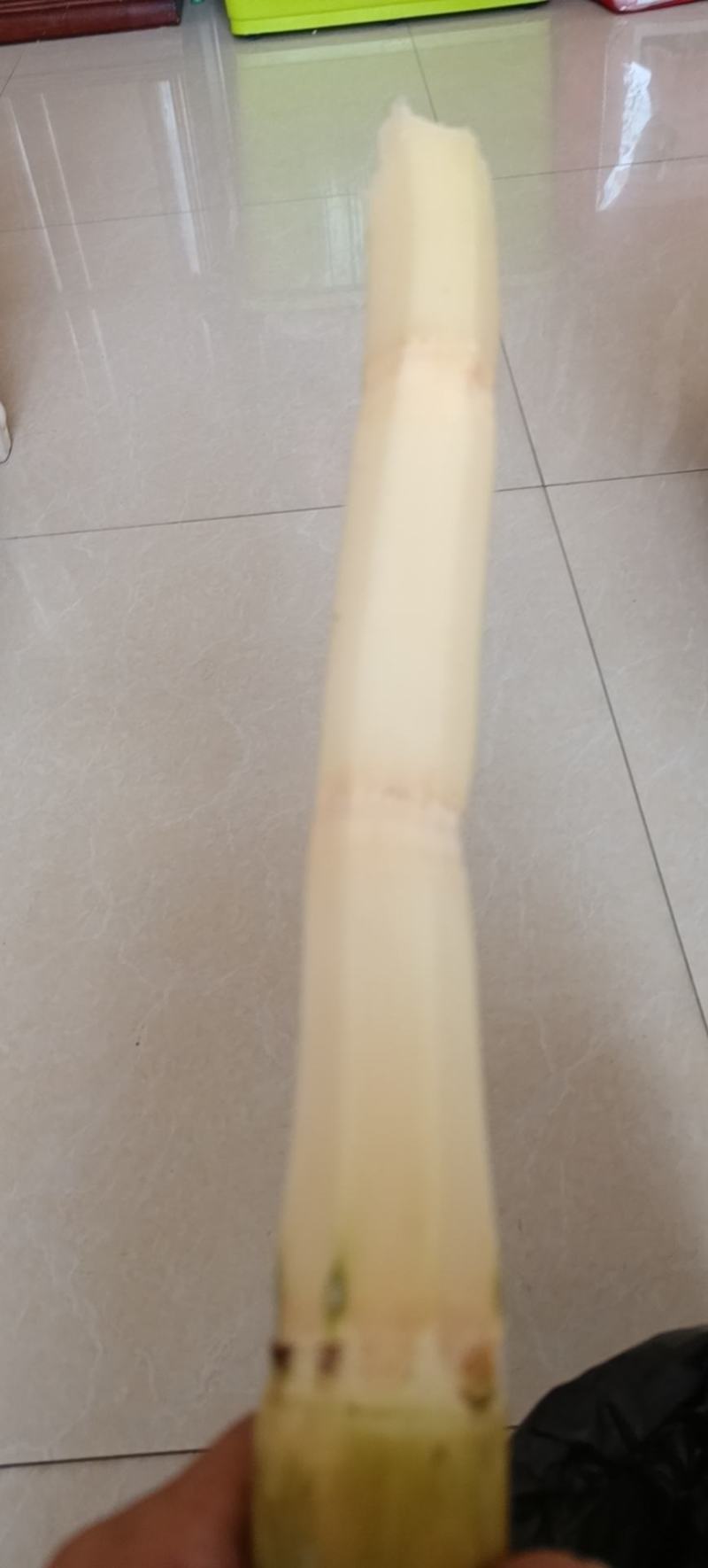 一级精品又甜又脆水分充足的黑皮果蔗，节巴均匀漂亮