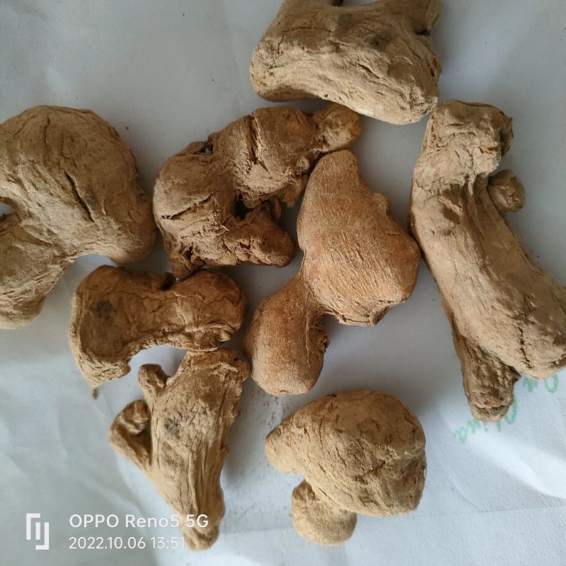 （热销）炮姜实物拍摄我严于品质地道药材欢迎选购祥泰药材