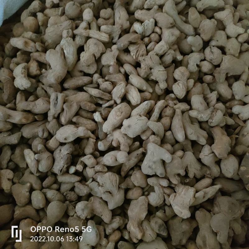 （热销）炮姜实物拍摄我严于品质地道药材欢迎选购祥泰药材