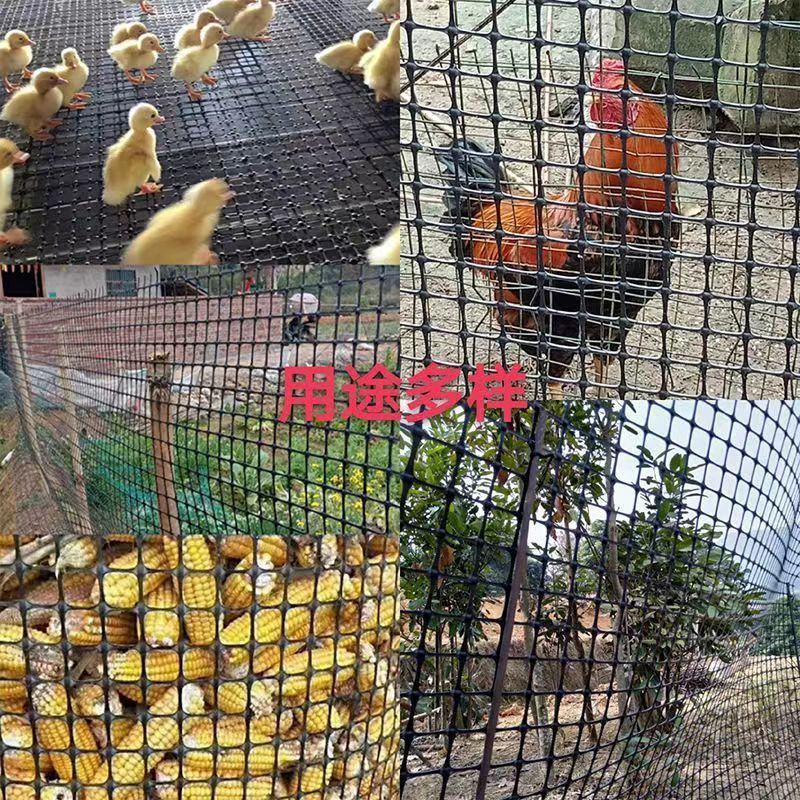 加厚新型塑料养殖隔离网圈玉米土工格栅养鸡圈山围栏家禽漏粪