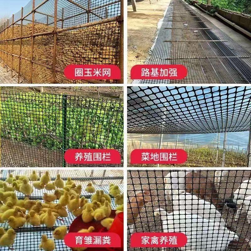 加厚新型塑料养殖隔离网圈玉米土工格栅养鸡圈山围栏家禽漏粪