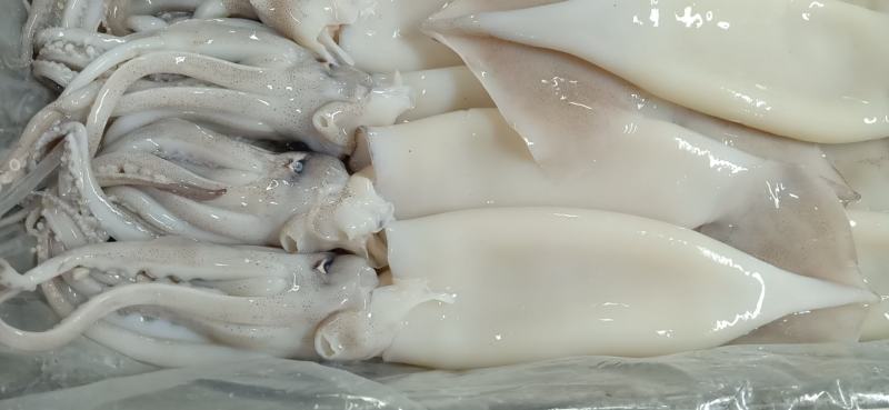 去皮去内脏鱿鱼，一手货源，市场广阔，欢迎老板来撩，，，，