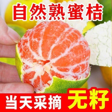 丹江口习家店武当柑橘雨后大量变黄，自然成熟，汁多味甜大量