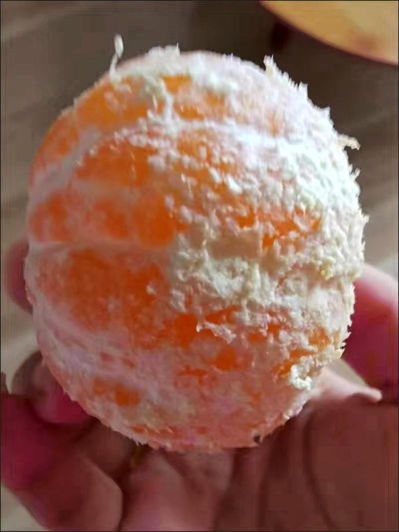 丹江口习家店武当柑橘雨后大量变黄，自然成熟，汁多味甜大量