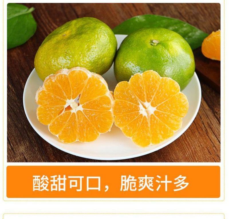 丹江口习家店武当柑橘雨后大量变黄，自然成熟，汁多味甜大量