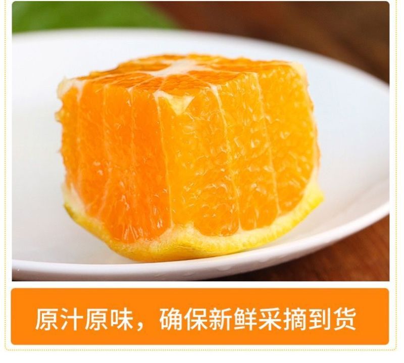丹江口习家店武当柑橘雨后大量变黄，自然成熟，汁多味甜大量