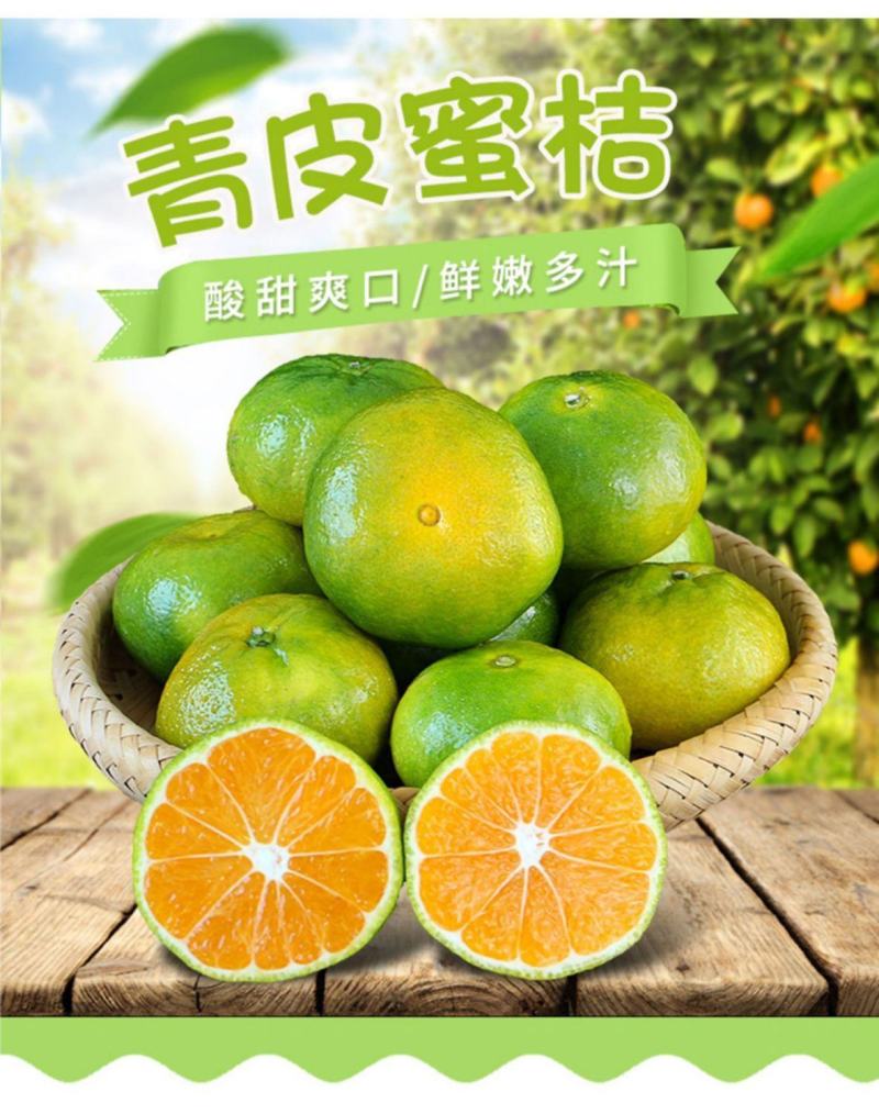 丹江口习家店武当柑橘雨后大量变黄，自然成熟，汁多味甜大量