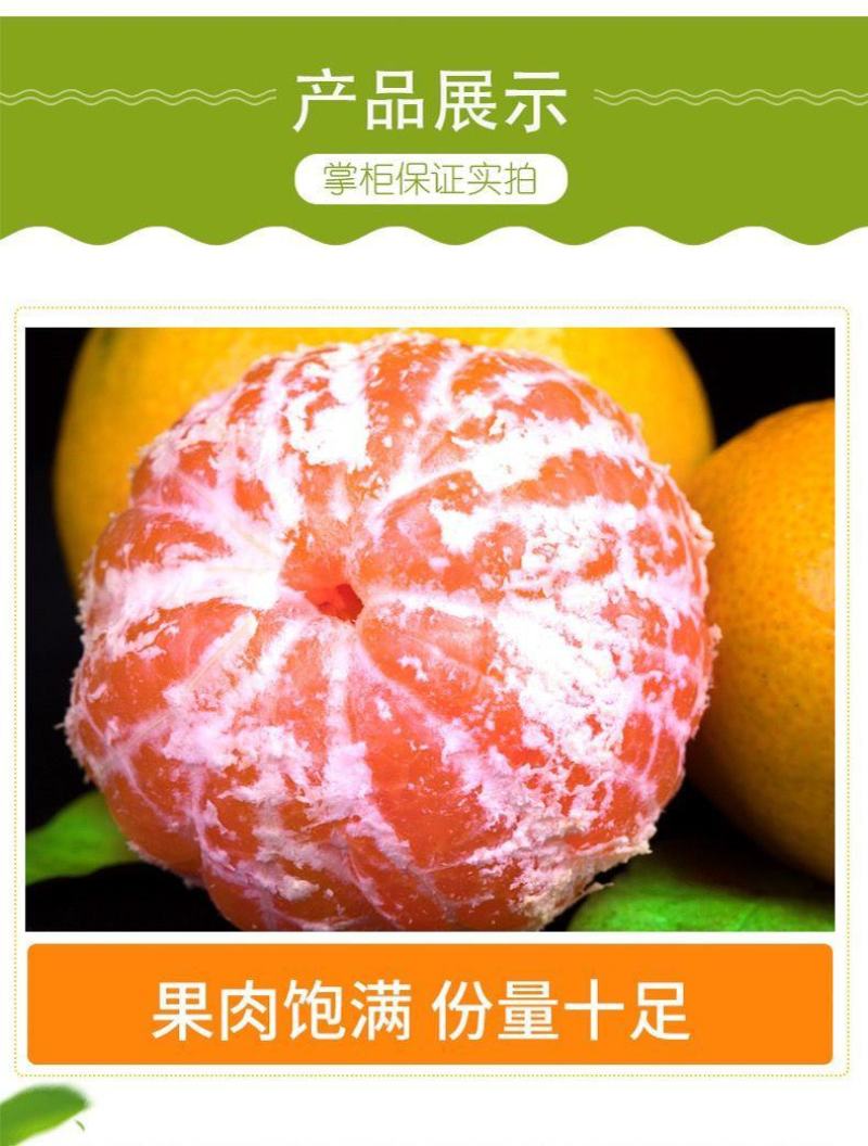 丹江口习家店武当柑橘雨后大量变黄，自然成熟，汁多味甜大量