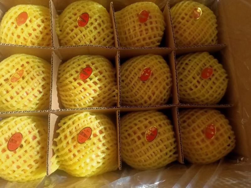 正宗洛川苹果一件代发