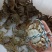 洪湖水浪打浪洪湖螃蟹肥呼呼！只只都是青壳白底！价格非常漂
