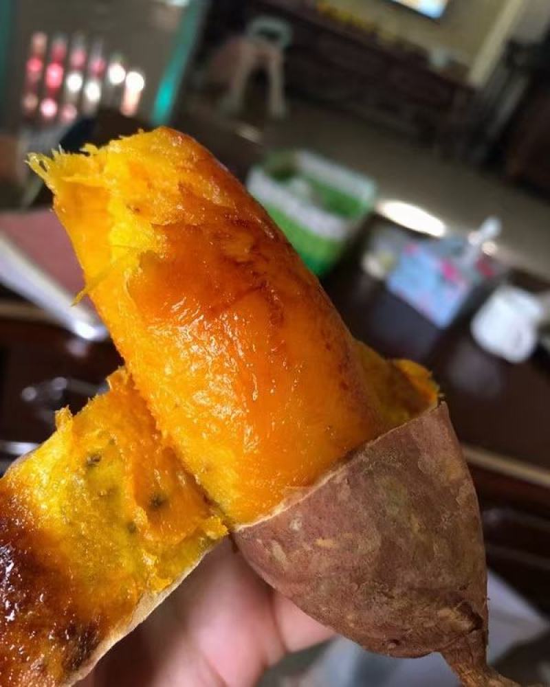 瓦房店各品种地瓜