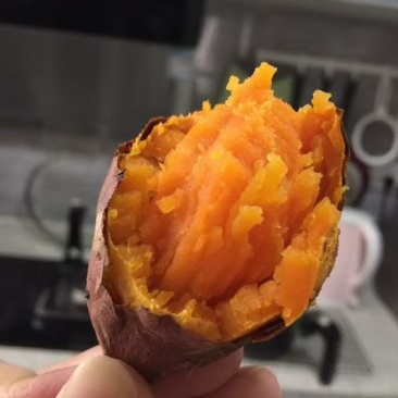 瓦房店各品种地瓜