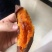 瓦房店各品种地瓜